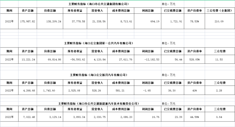 海口公交集團(tuán)及下屬各子公司2022年度信息公開財(cái)務(wù)主要指標(biāo)明細(xì)1_副本.png